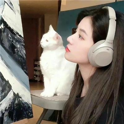 金牌投资人