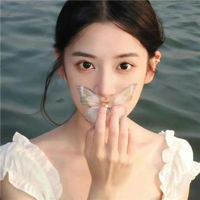 白粉飞第六季
